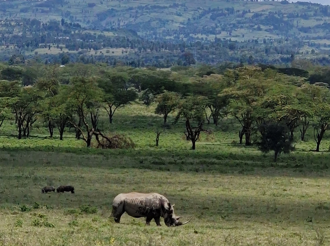 Leopard Orchid Safaris-内罗毕必去景点