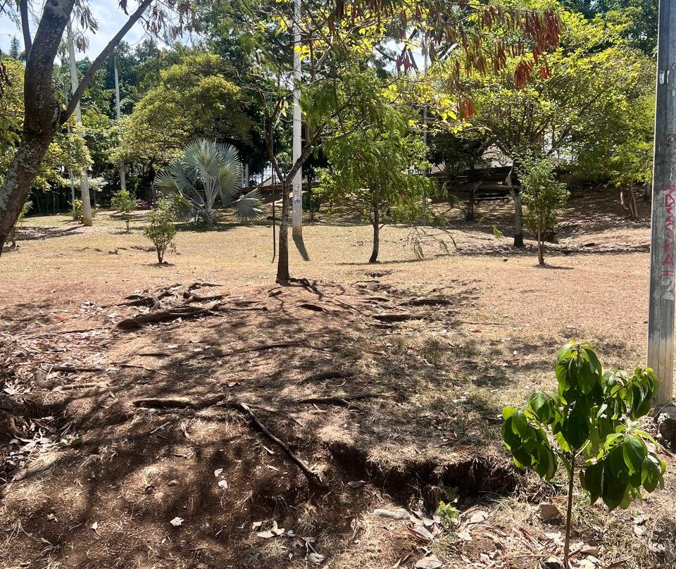 Barrio San Antonio-卡利必去景点