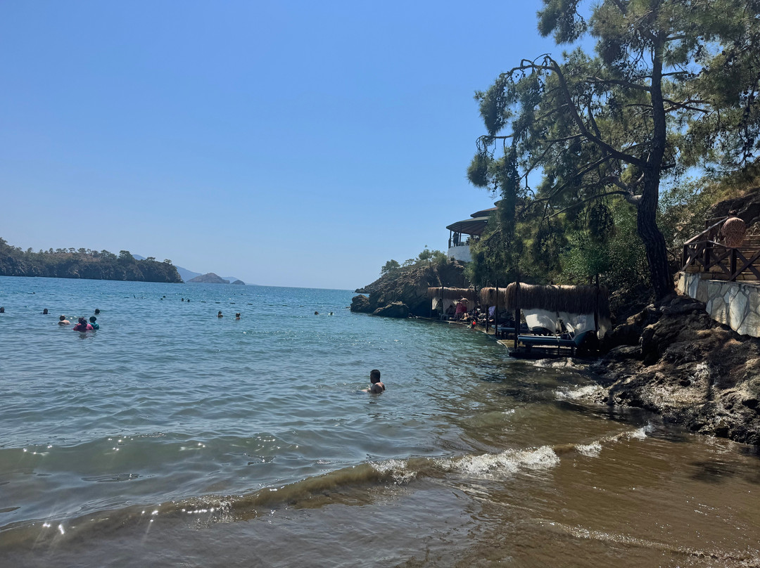 Katrancı Bay Nature Park-Yaniklar必去景点