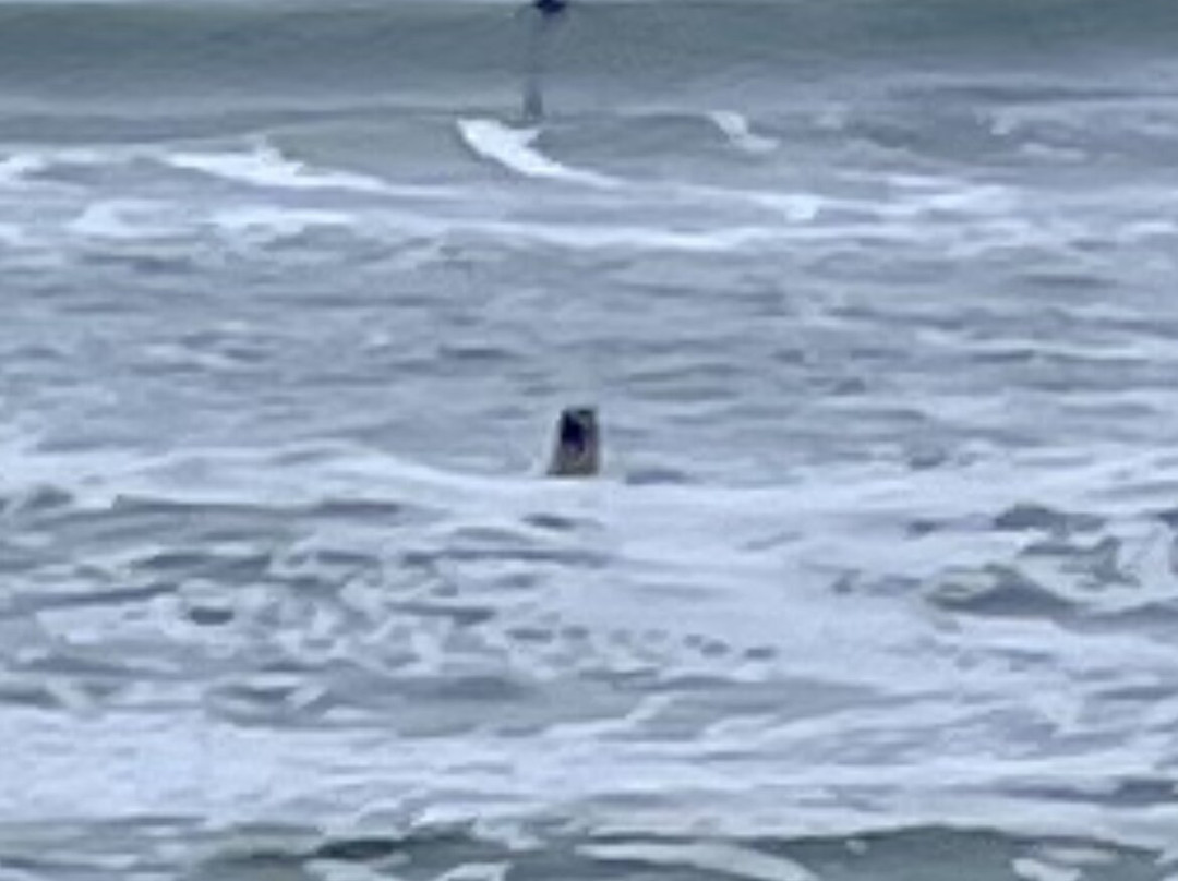 Crescent Trail Rides-克雷森特城必去景点