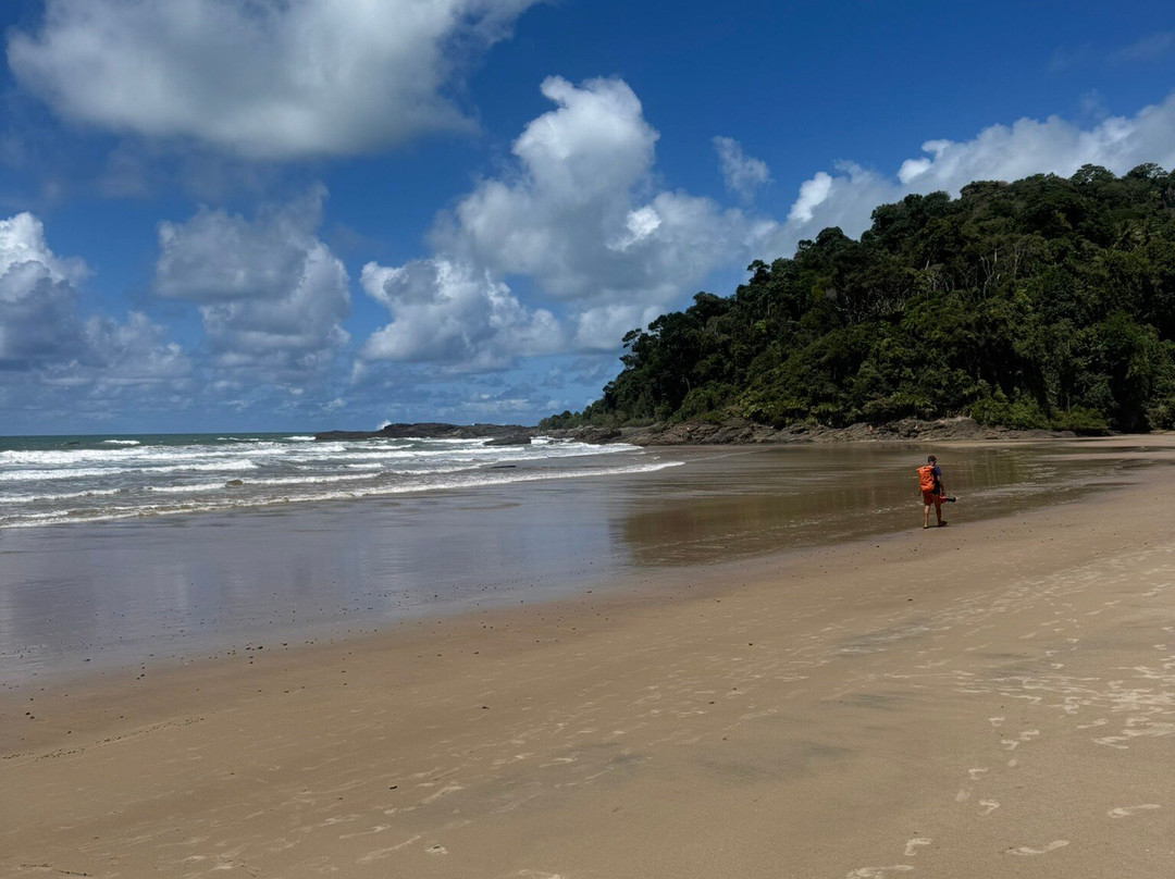 Engenhoca Beach-Itacare必去景点