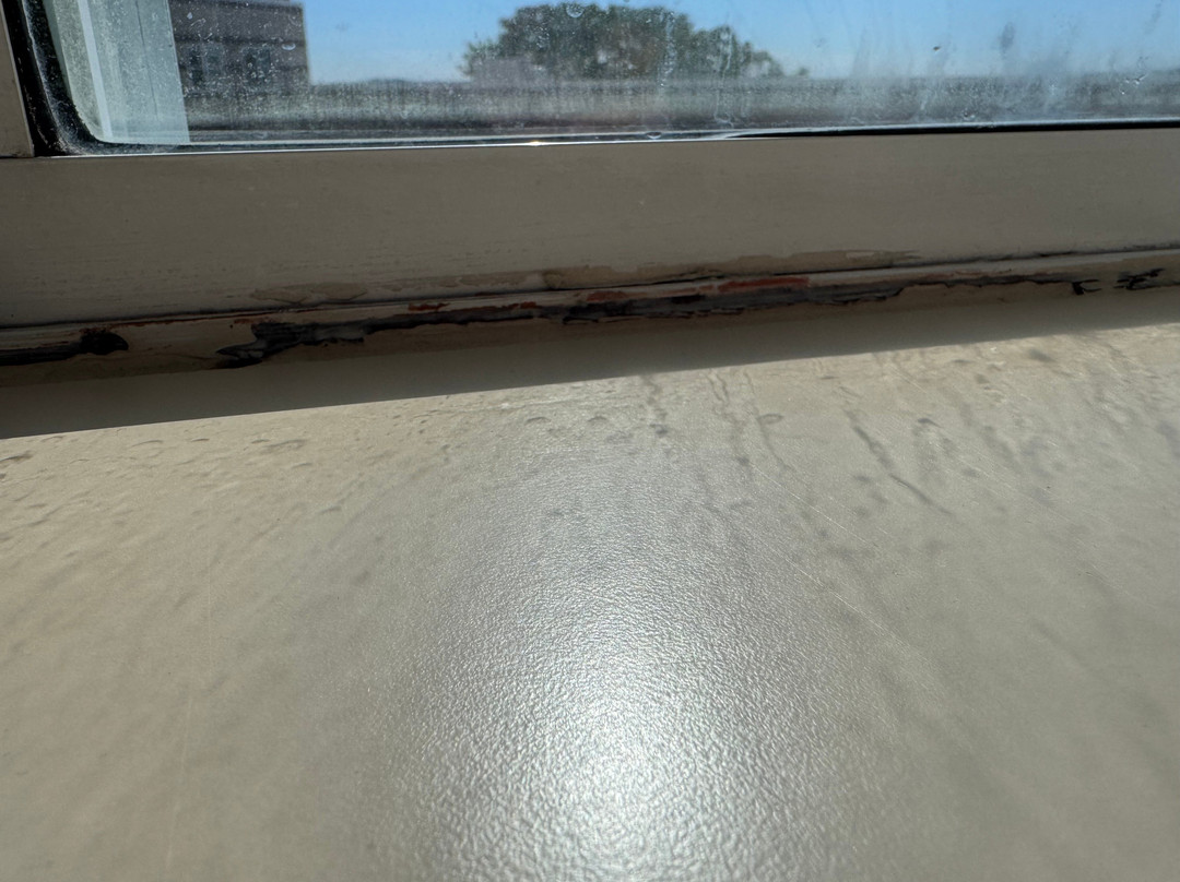 尼德姆喜来登酒店主图