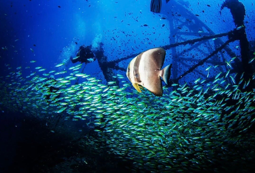 Dolphin Dive Centre Phuket-普吉岛必去景点