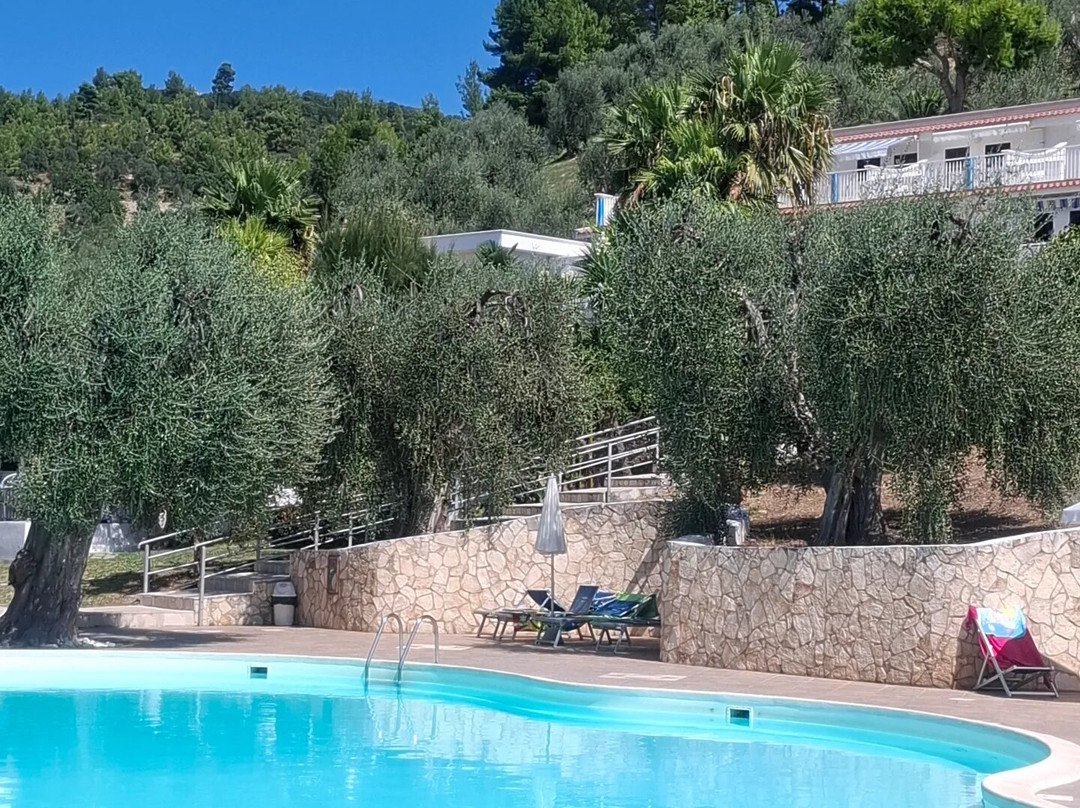 Residence Paradise主图