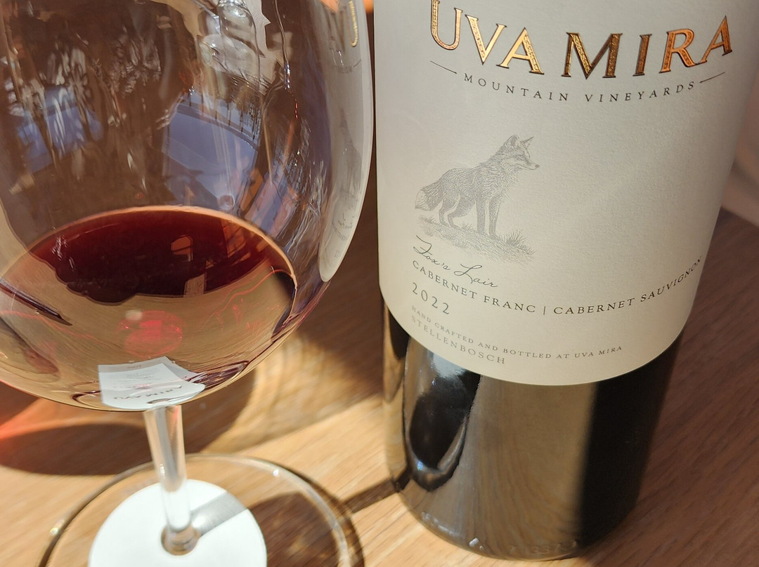 Uva Mira Mountain Vineyards-斯泰伦博斯必去景点