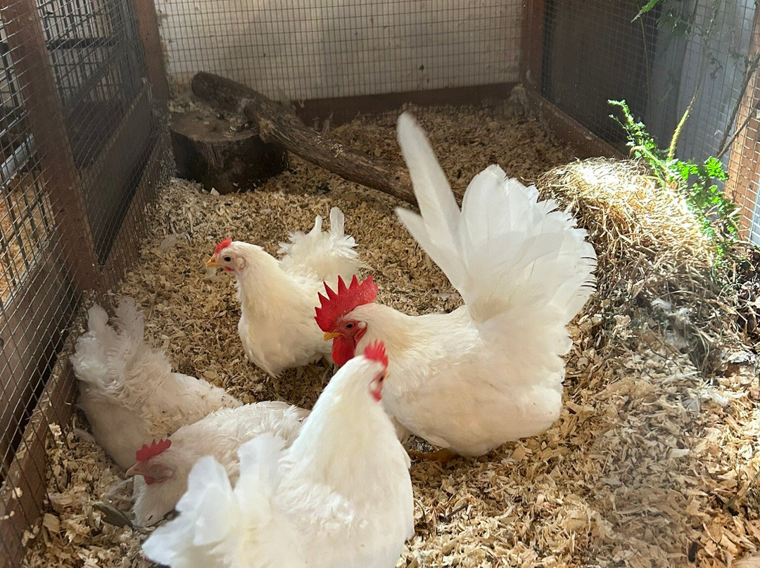 The Castle & Gardens of Mey-Thurso必去景点