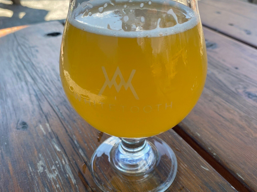 Whitetooth Brewing Company-戈尔登必去景点