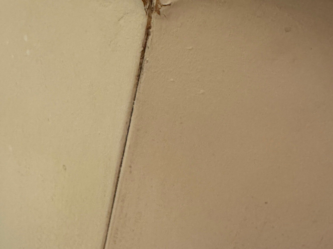 美第奇别墅酒店主图