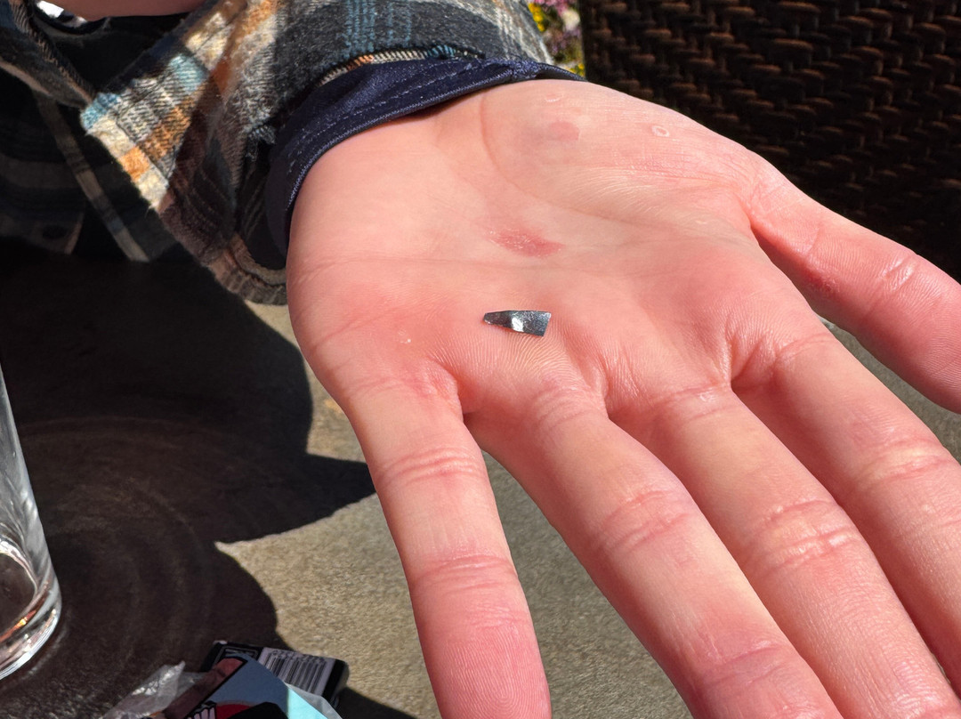 Berggasthof Hochbühl主图