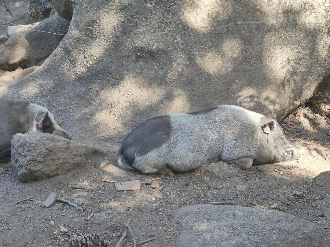 Parc Naturel D'Olva-Sartene必去景点