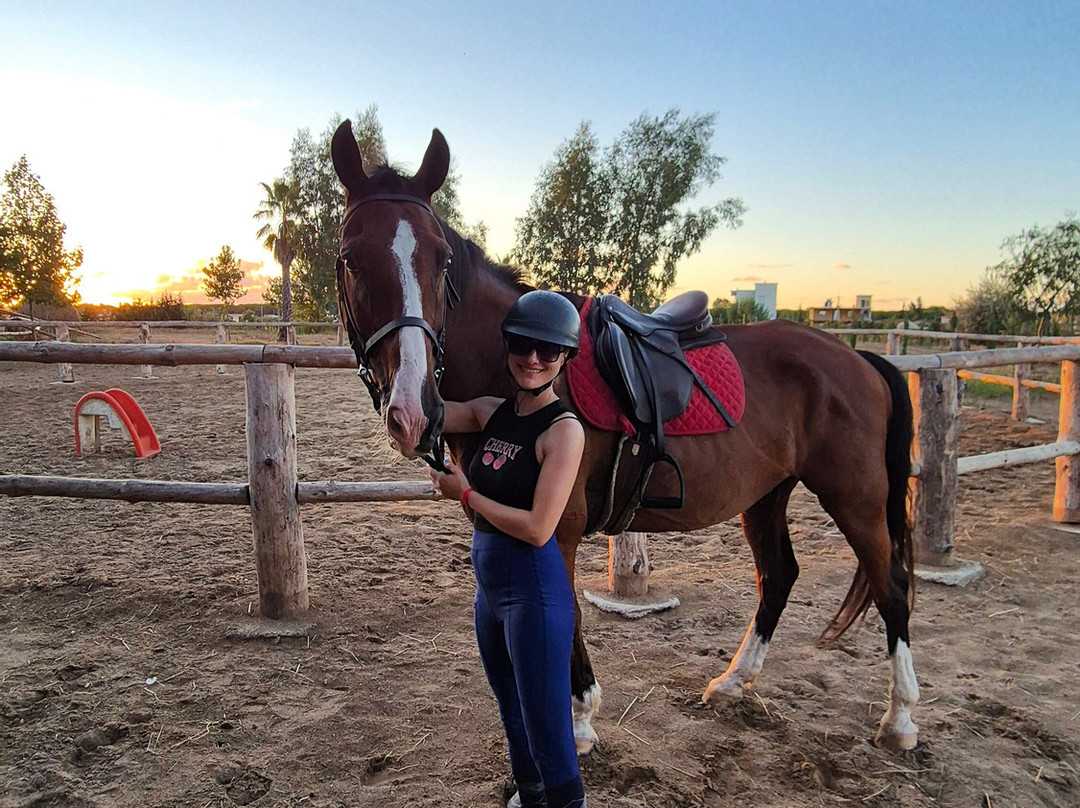 Durres Horse Village-Rinia必去景点