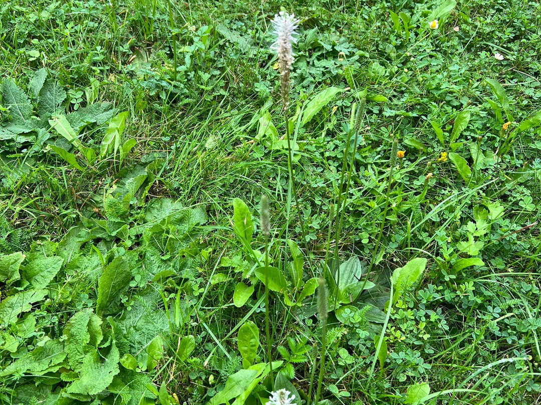 Sonja Trekking-San Vigilio必去景点