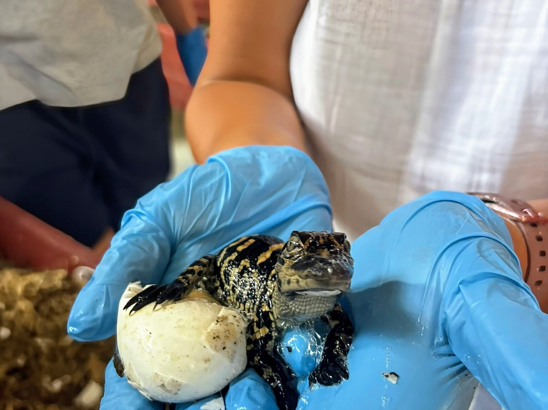 Gatorama-Palmdale必去景点