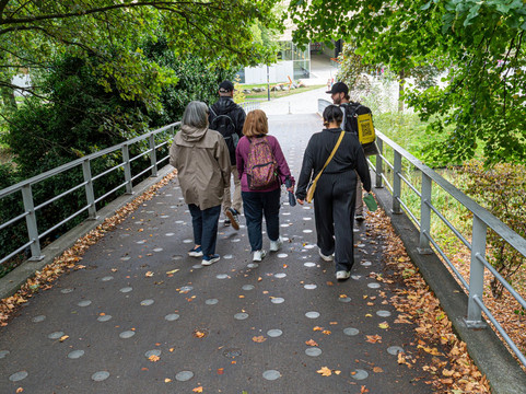 Rottourdam Tours-鹿特丹必去景点