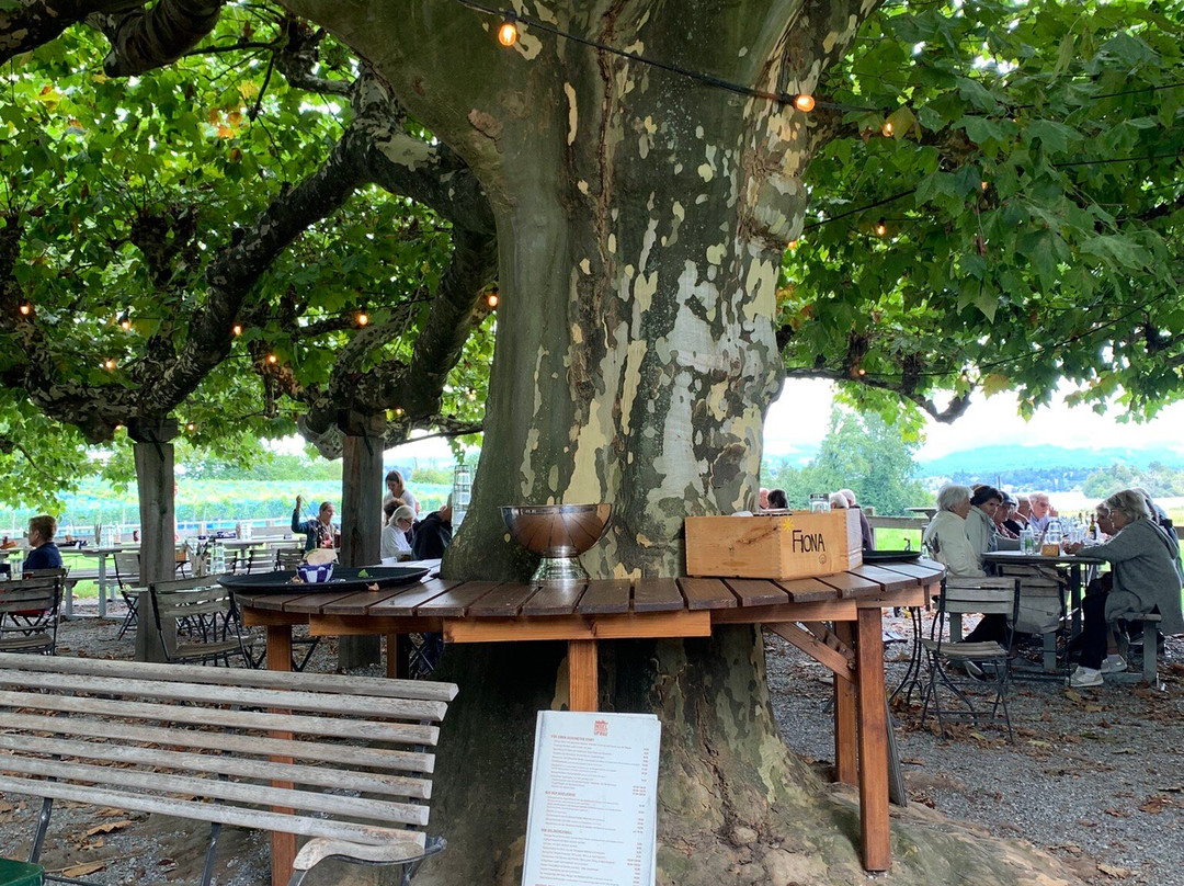 Insel Ufnau-Freienbach必去景点