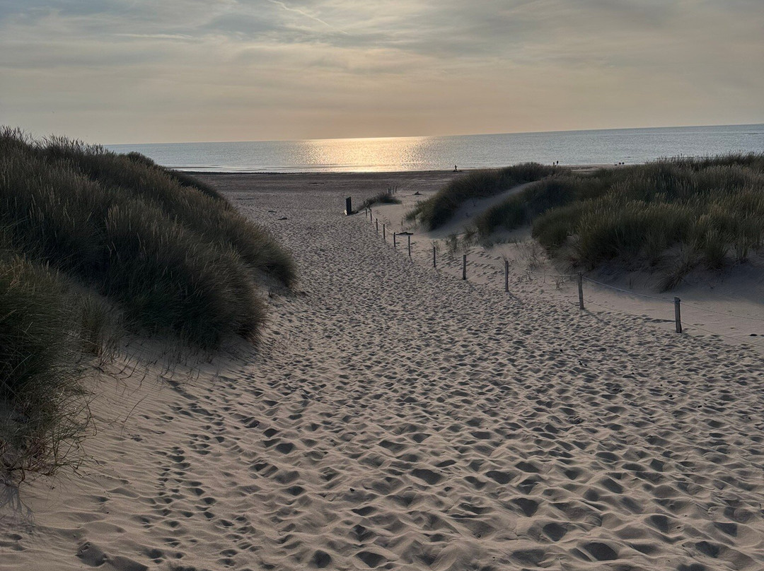 Ynyslas National Nature Reserve-Borth必去景点