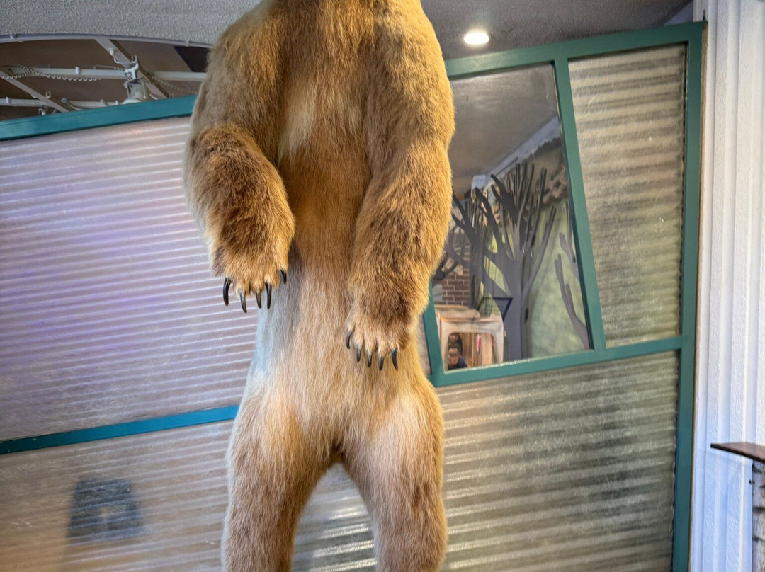 EcoTarium-伍斯特必去景点