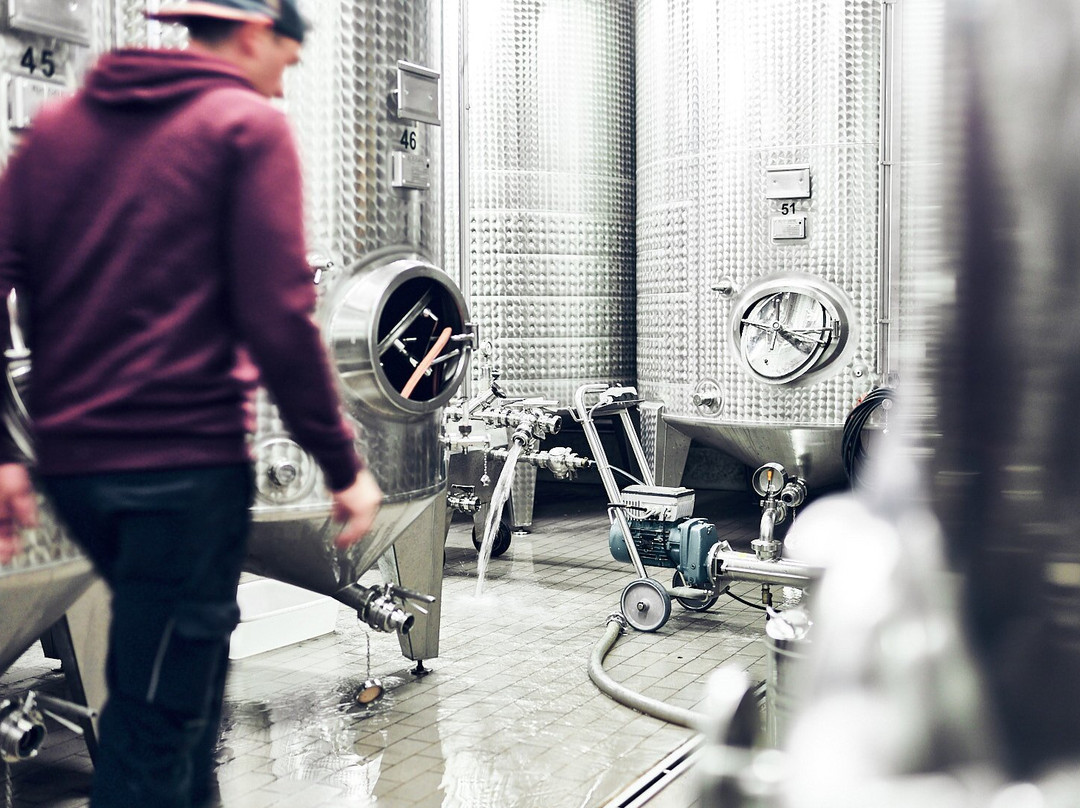 Weingut Abril-Vogtsburg im Kaiserstuhl必去景点