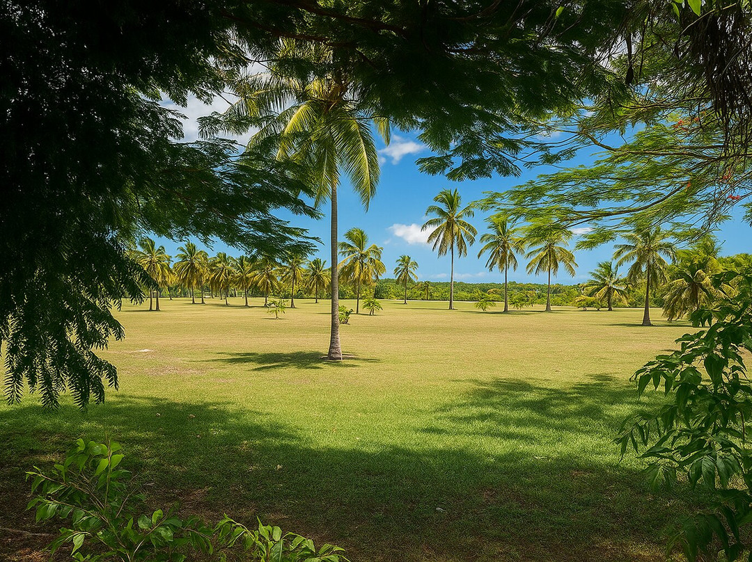 Sarl Taxi Hectus-Capesterre-Belle-Eau必去景点