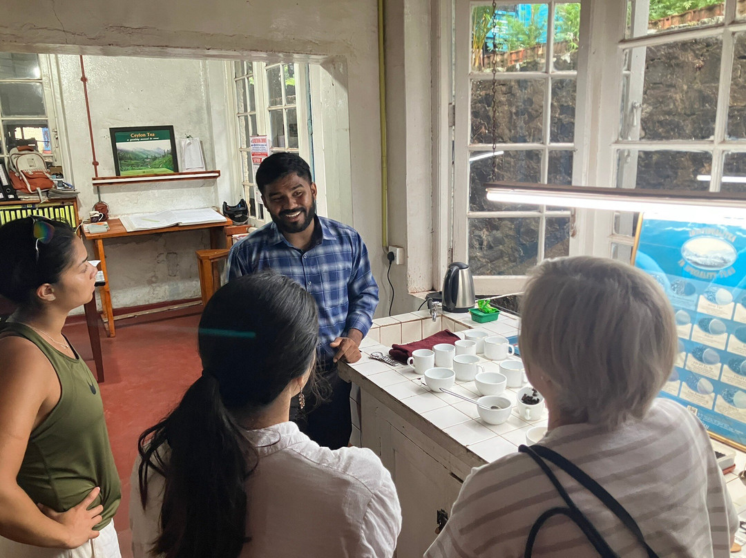 Kinellan Tea Factory-埃勒必去景点