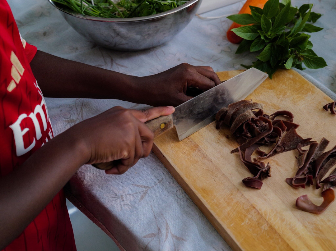 Manh's Farm Tour and Homestay Cooking Class in Hanoi-河内必去景点