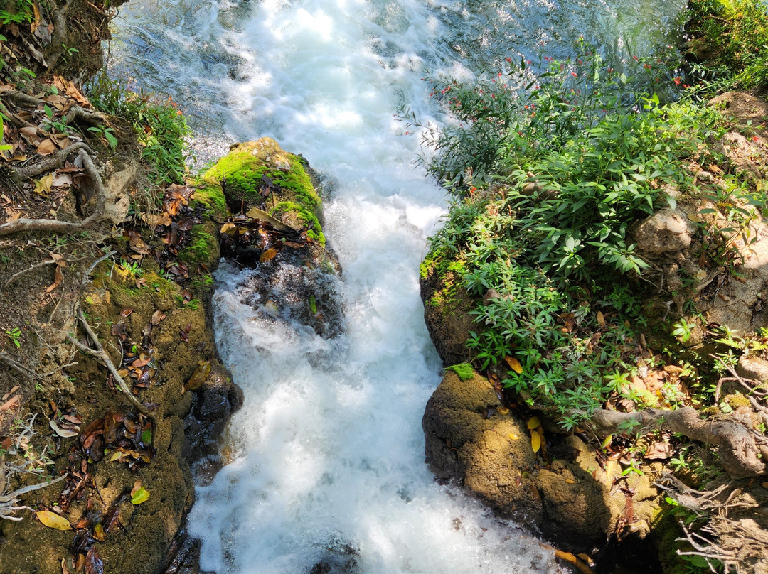Eco Park Porto Da Ilha-博尼图必去景点