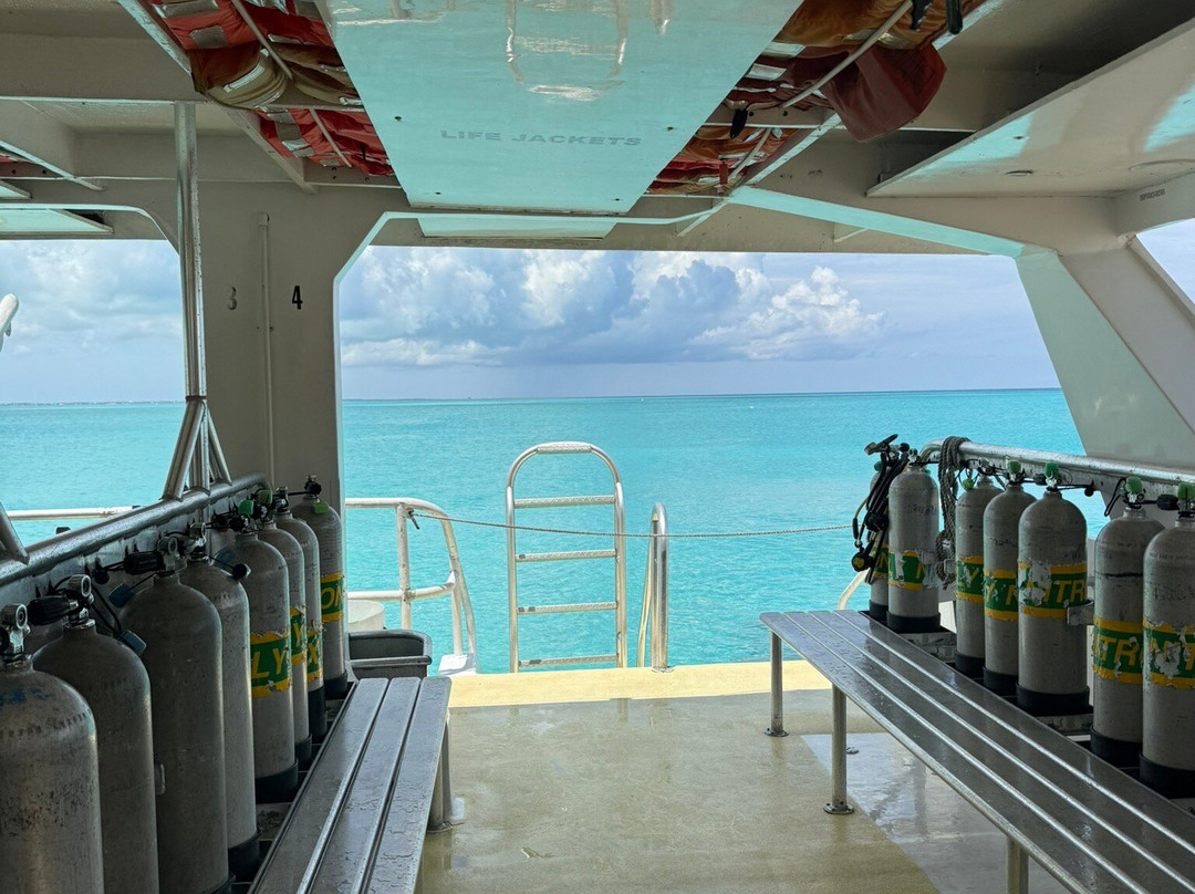 Seafari Turkoise - Dive Center-普罗维登西亚莱斯必去景点