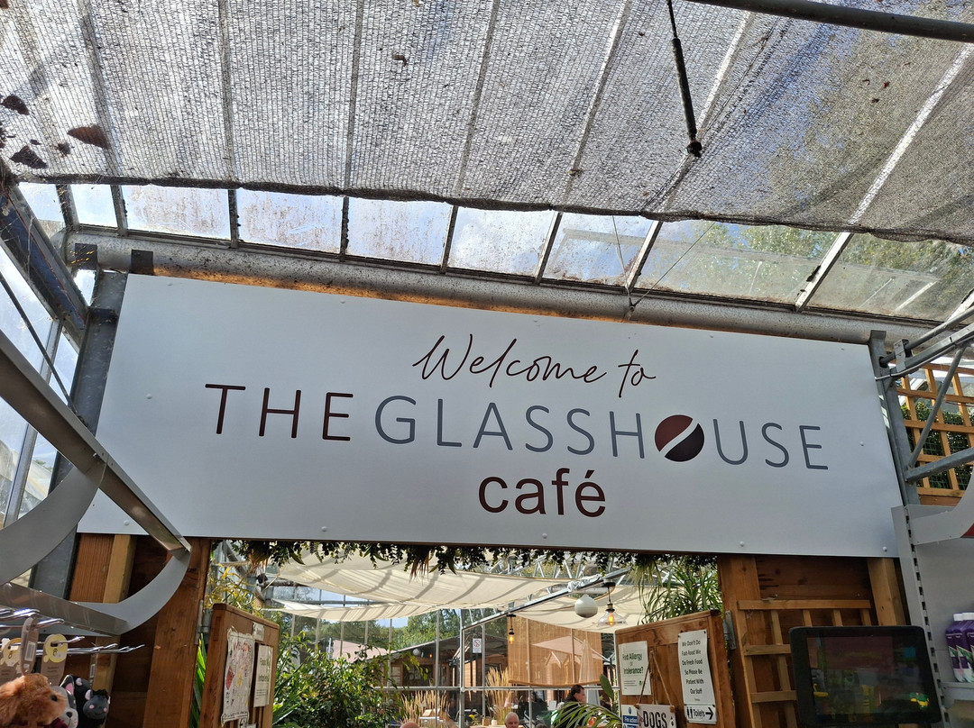 The Glasshouse Cafe By Hudsons