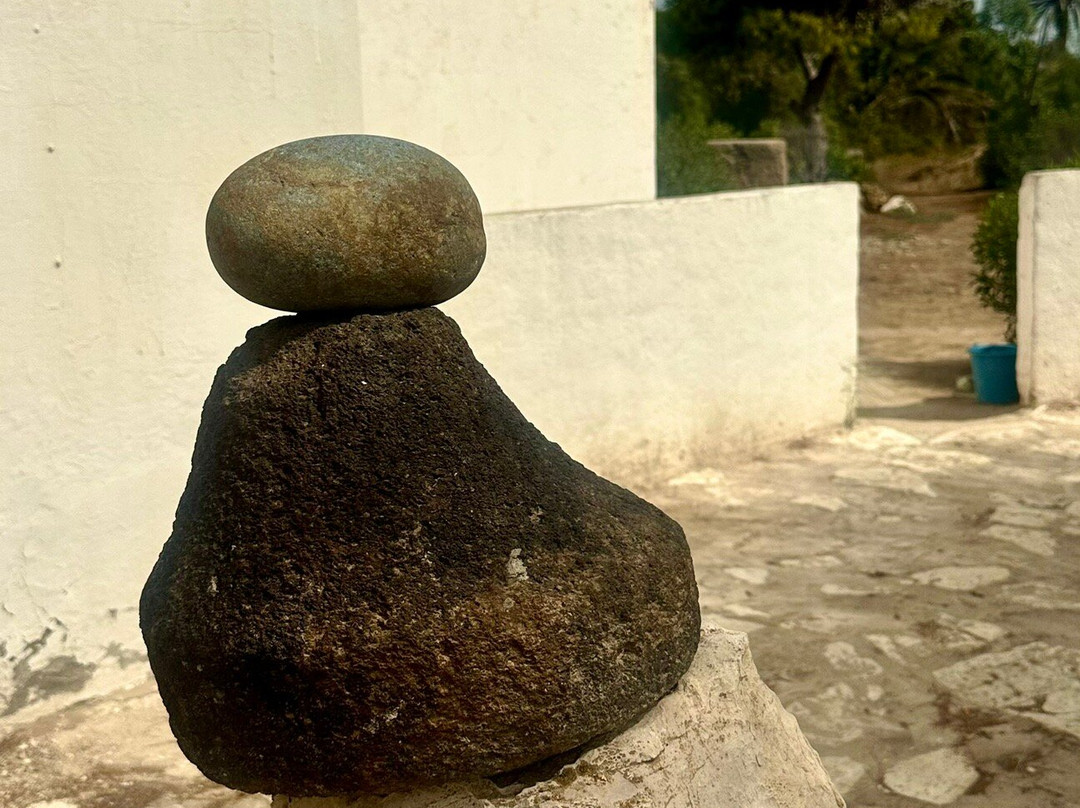 Punic Ports & Museum-迦太基必去景点