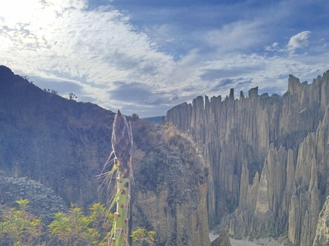 WONDER TOURS, LA PAZ-拉巴斯必去景点