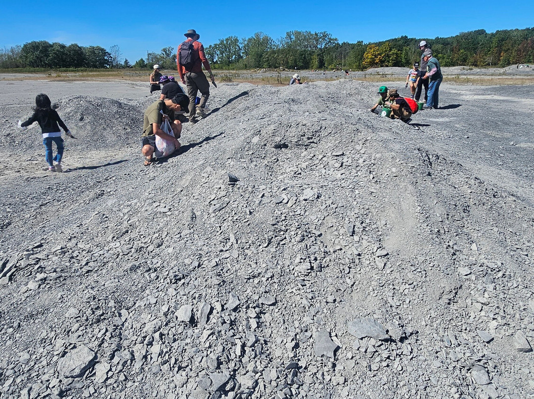 Penn Dixie Fossil Park & Nature Reserve-Blasdell必去景点