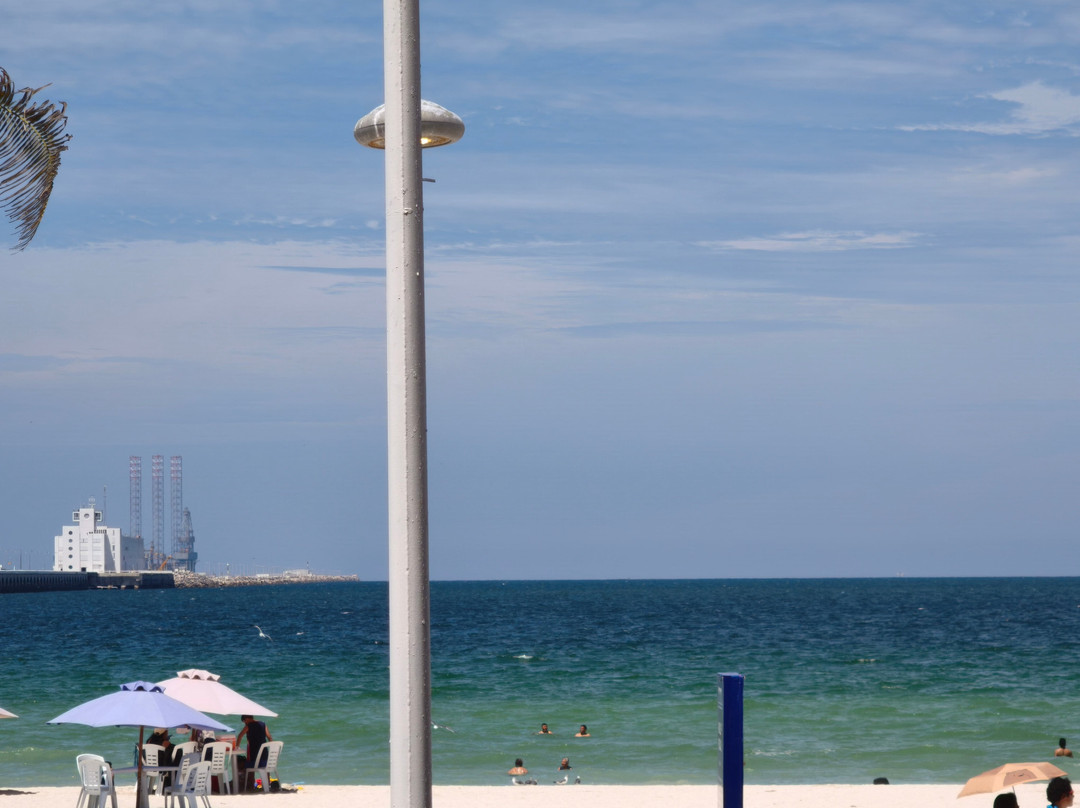 Bacalauh Cocina De Mar