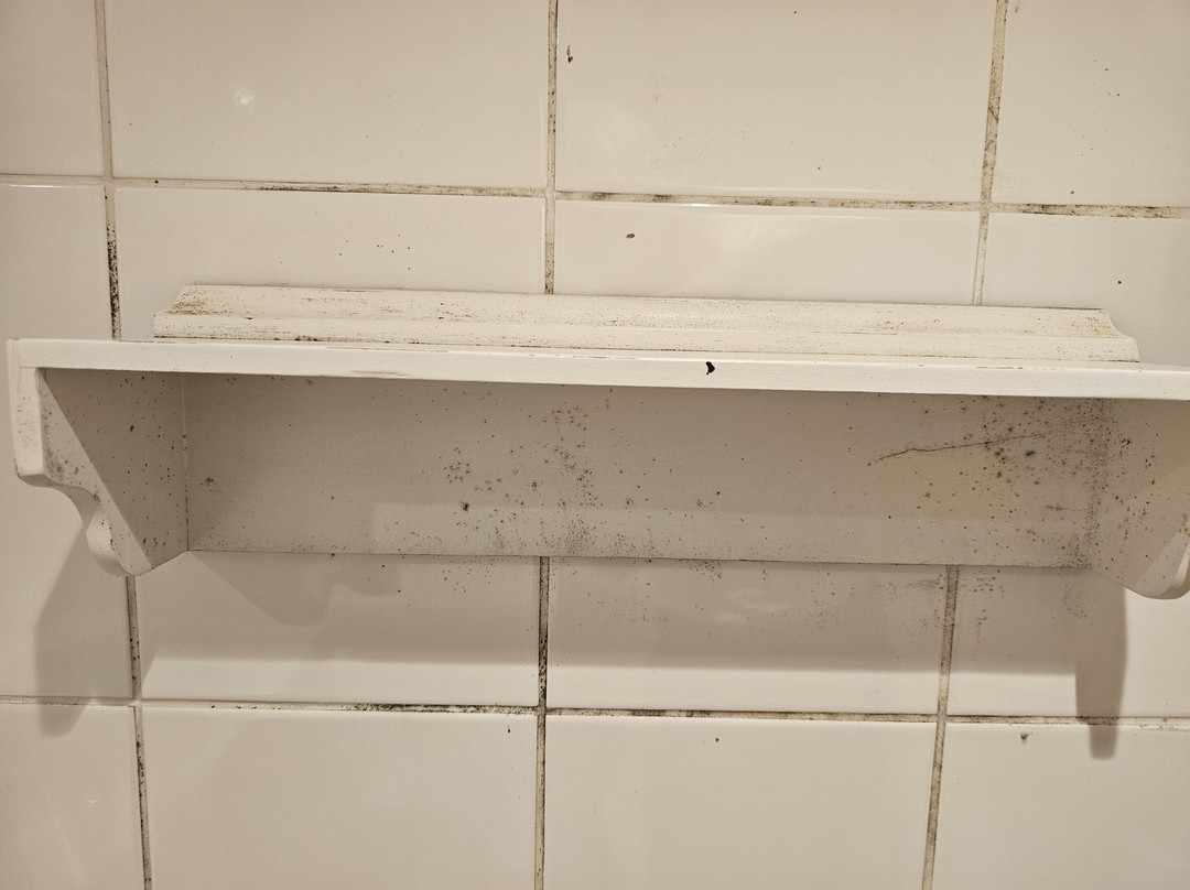 贝斯特韦斯特泽西纹章酒店主图