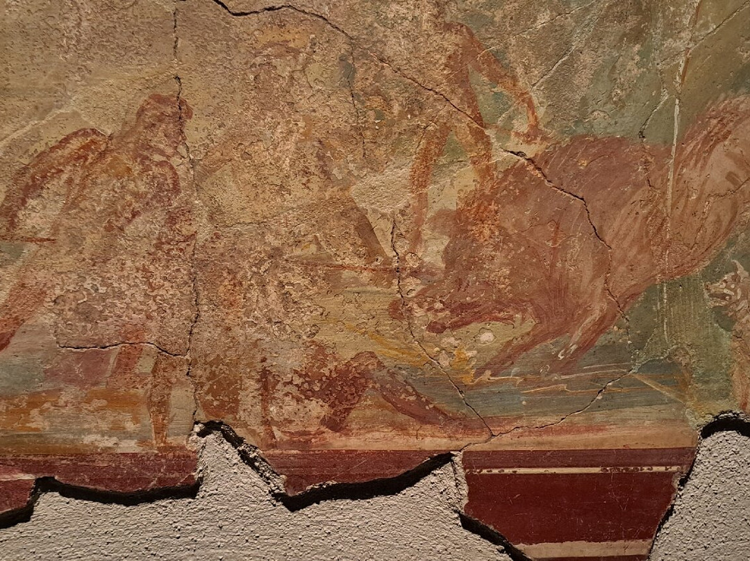 Reggia Quisisana-斯塔比亚海堡必去景点