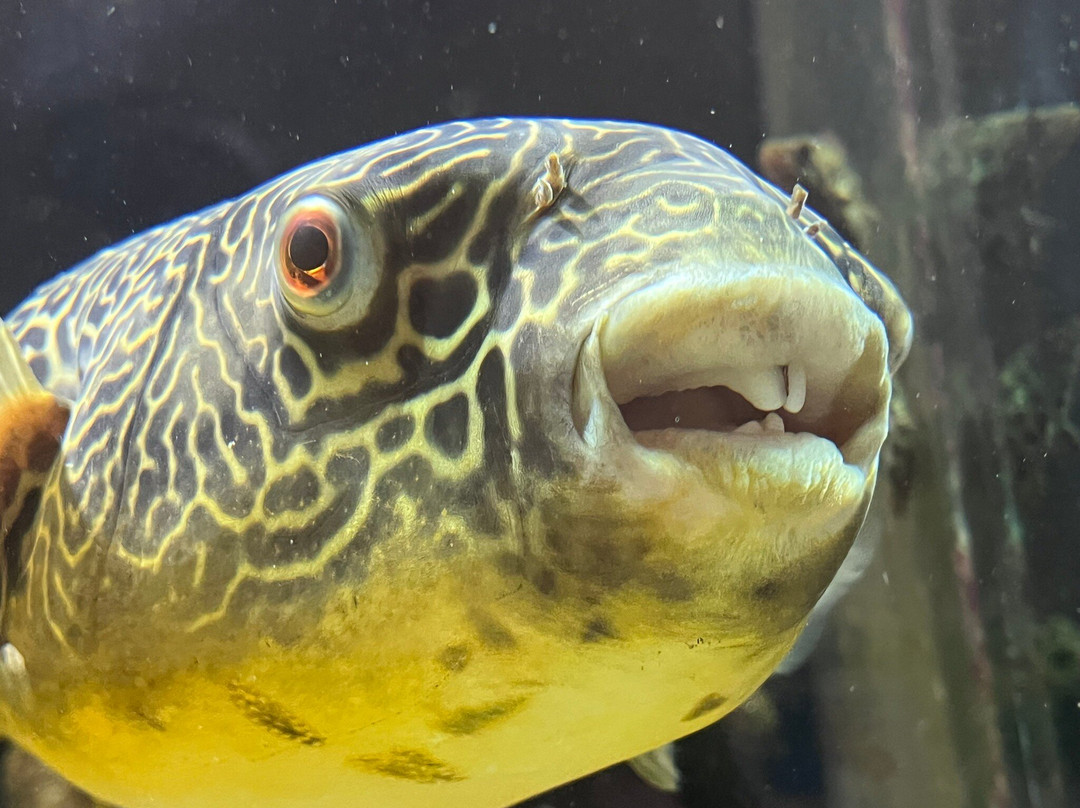 Lakeland Wildlife Oasis-Milnthorpe必去景点