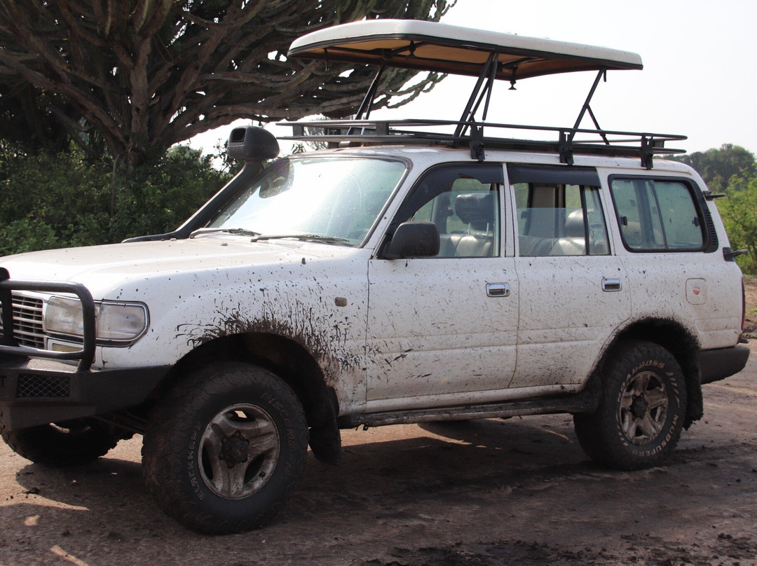 African Jungle Adventures -  Day Tours-吉佳利必去景点