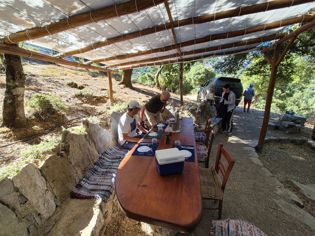 Truffle Hunter Rouvas Crete-伊拉克利翁必去景点