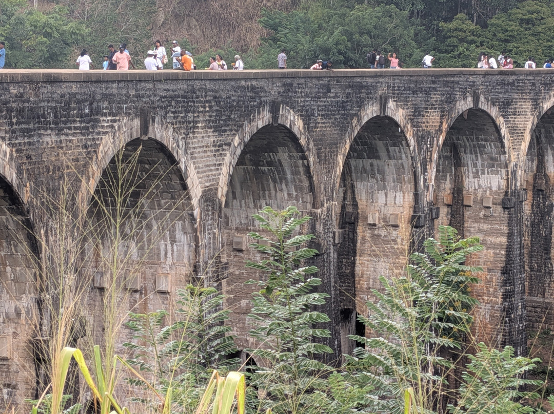 Tony Sri Lanka Tours-亚洪加拉必去景点