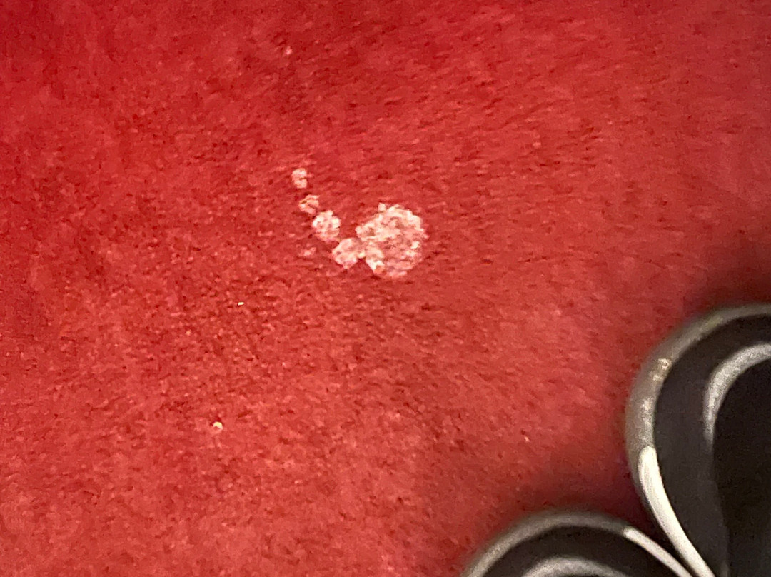 圣乔治酒店主图