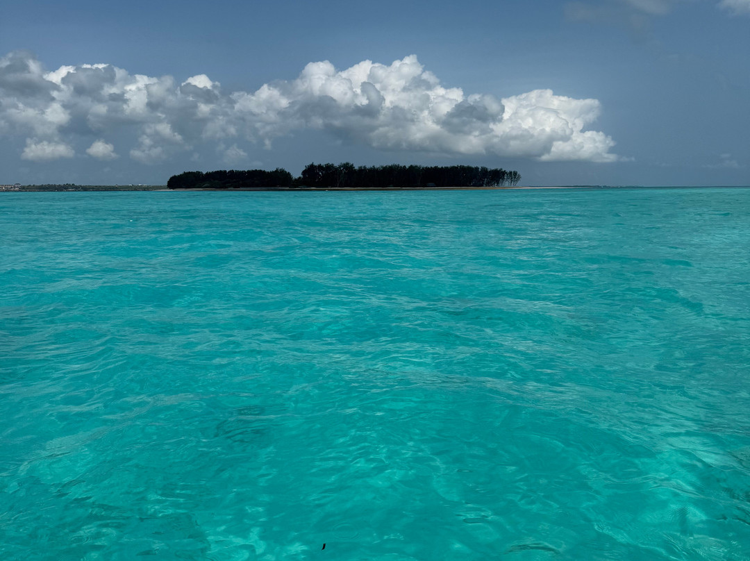Buga Tour Guide Zanzibar-Matemwe必去景点