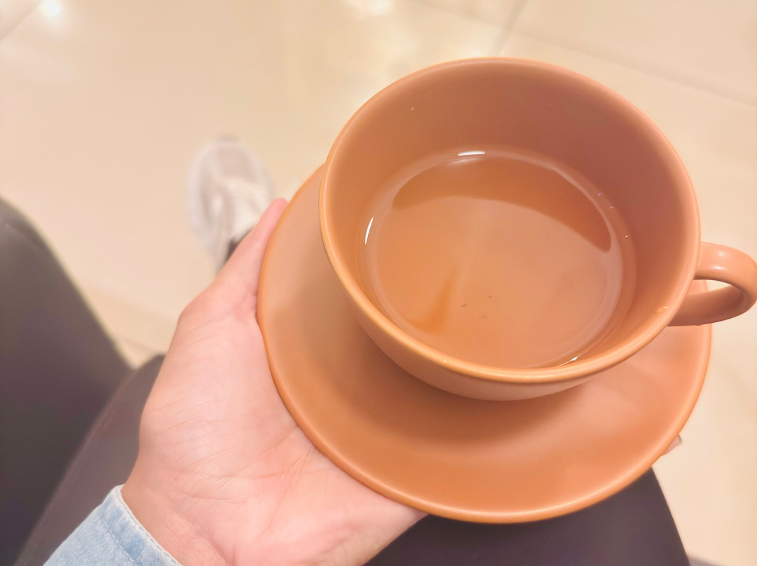 Blanc Spa-巴西利亚必去景点