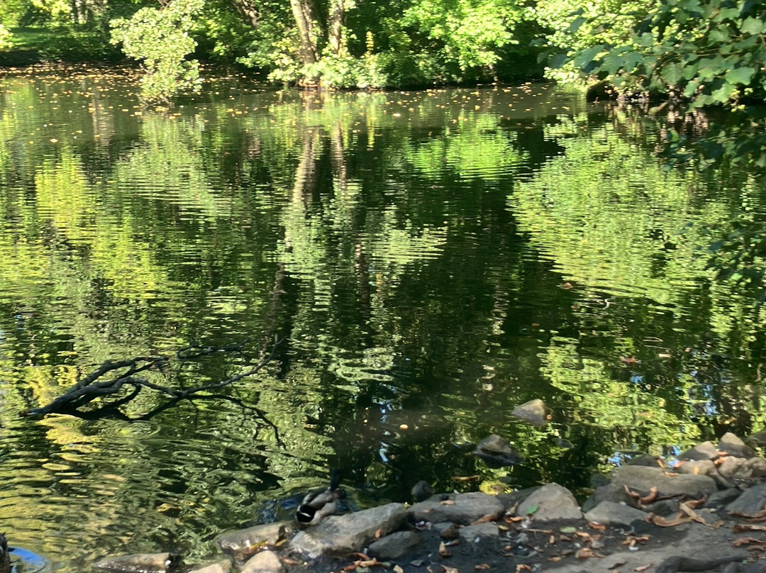 Schlosspark - Zámocký park-Pezinok必去景点