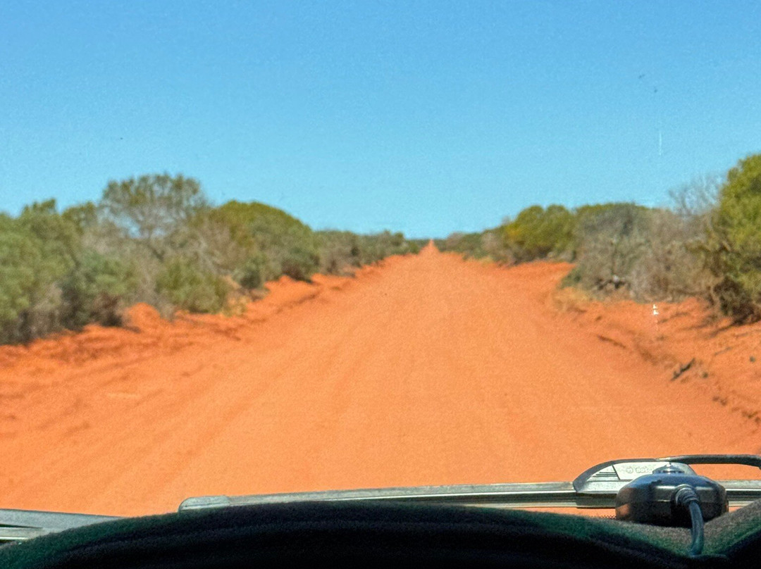 Shark Bay Coastal Tours-德纳姆必去景点