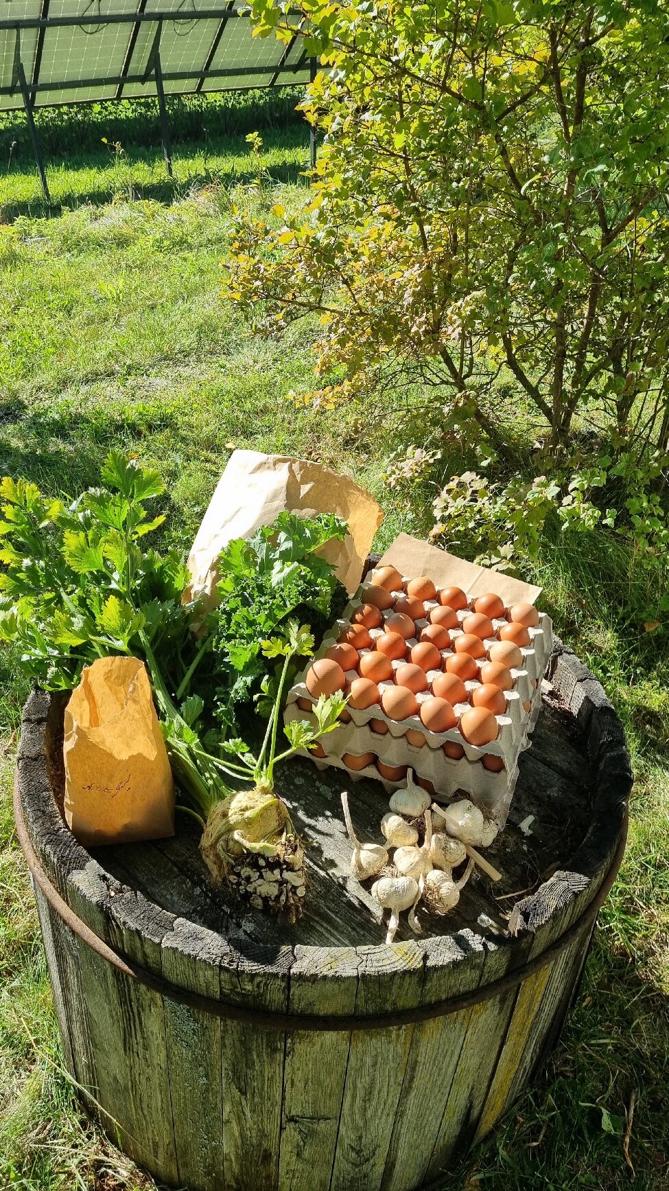 Kretsloppshusets B&B-官方