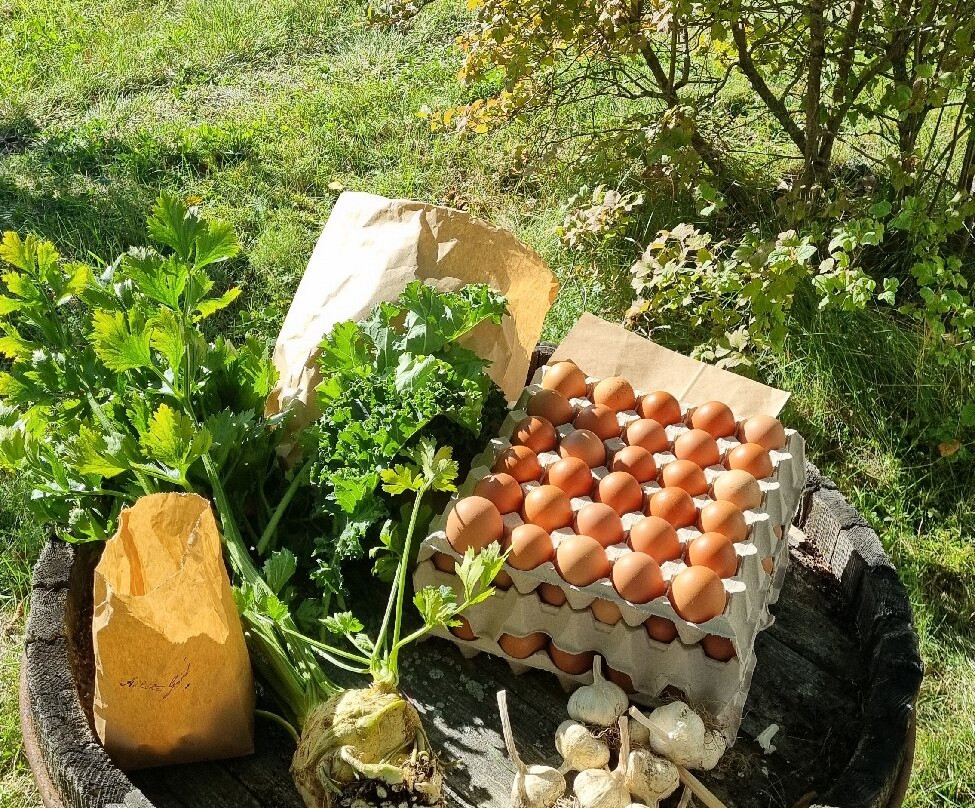 Kretsloppshusets B&B主图