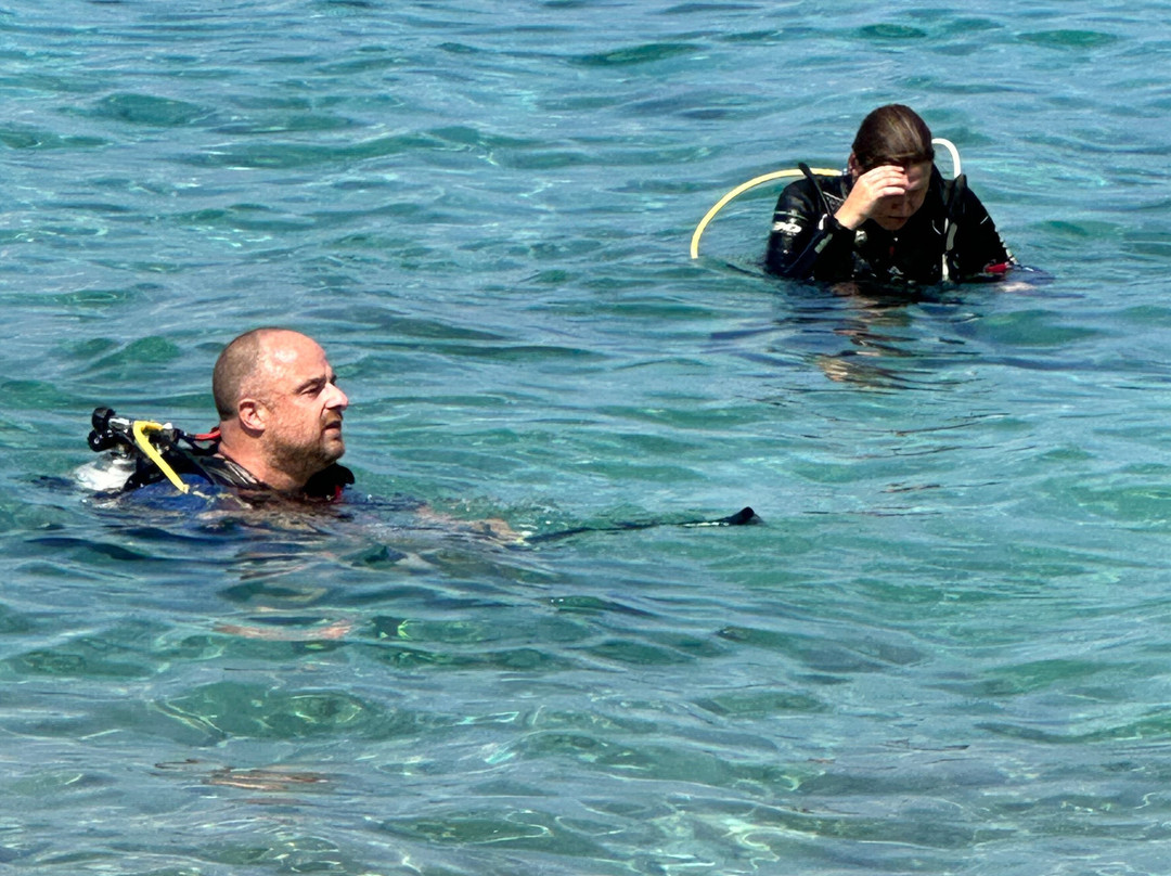 Dushi Diving-威廉斯塔德必去景点