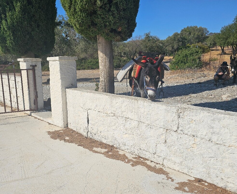 Donkey Cruise-Asklipiio必去景点