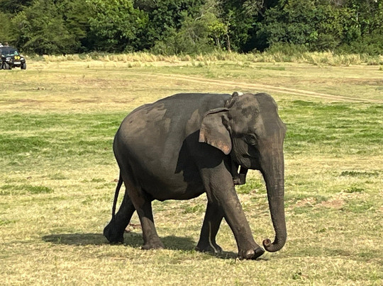 Travel With Sri-Ja Ela必去景点