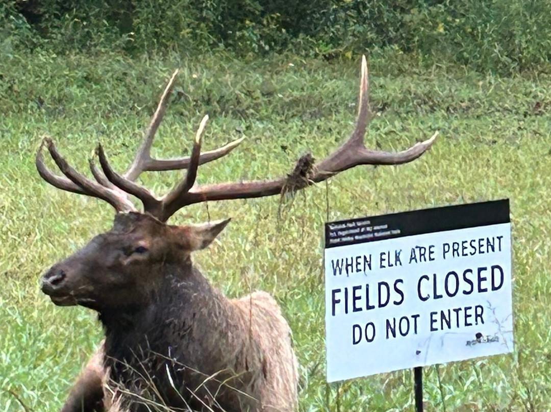 Super 8 by Wyndham Cherokee主图