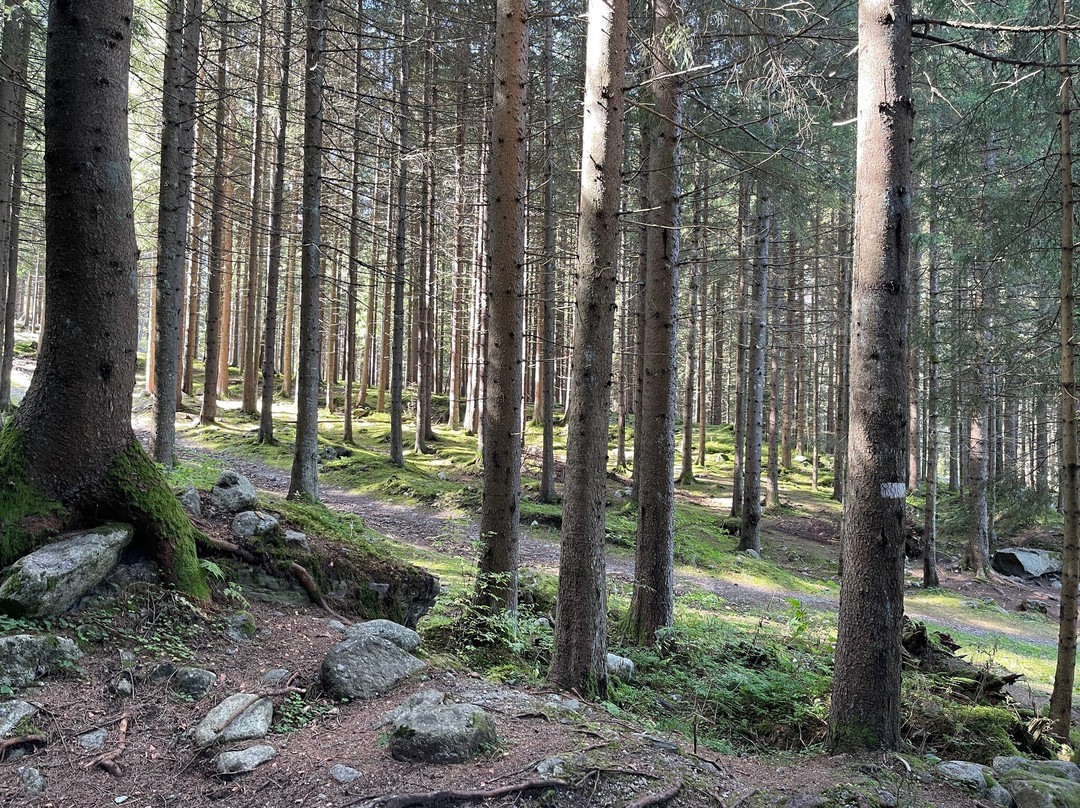 Cascade Du Dard-La Giettaz必去景点